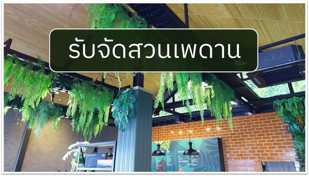 รับจัดสวนเพดาน