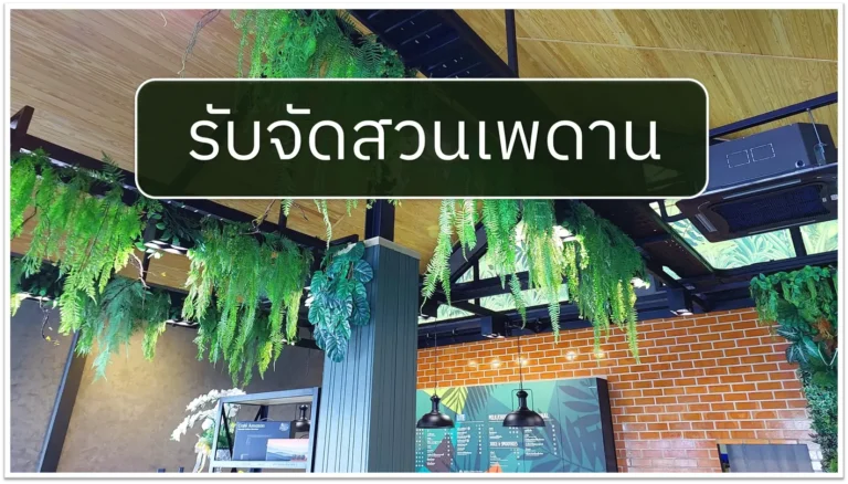 รับจัดสวนเพดาน