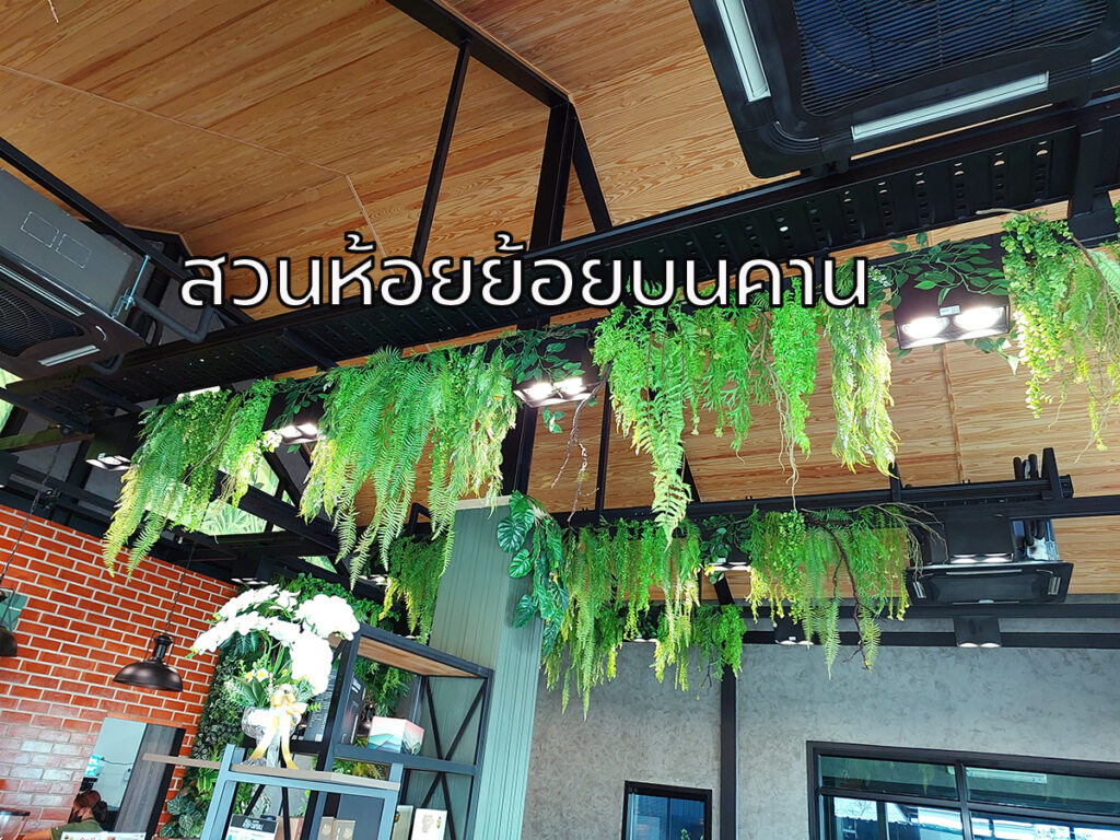 สวนห้อยย้อยบนคาน สวนธรรมชาติ สวนเพดานต้นไม้ปลอม