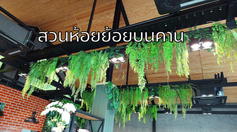 สวนห้อยย้อยบนคาน สวนธรรมชาติ สวนเพดานต้นไม้ปลอม
