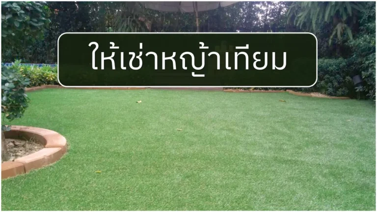 ให้เช่าหญ้าเทียม
