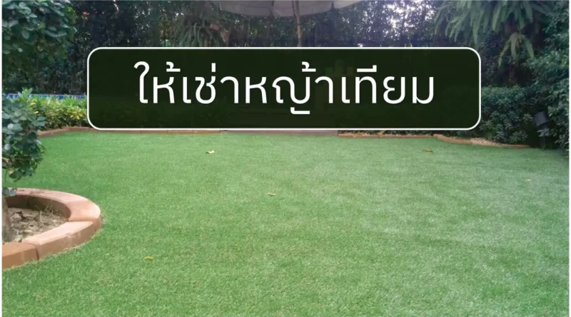 ให้เช่าหญ้าเทียม