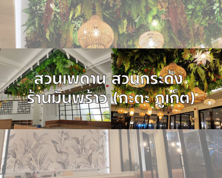 สวนเพดานต้นไม้เทียม ร้านมันพร้าว ภูเก็ต Turf Art