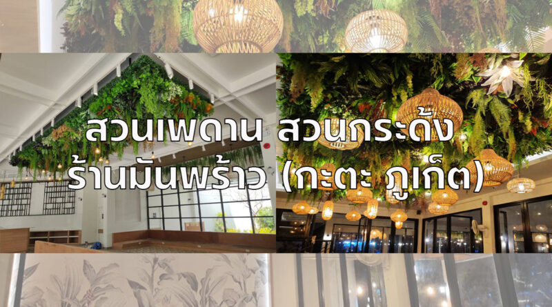 สวนเพดานต้นไม้เทียม ร้านมันพร้าว ภูเก็ต Turf Art